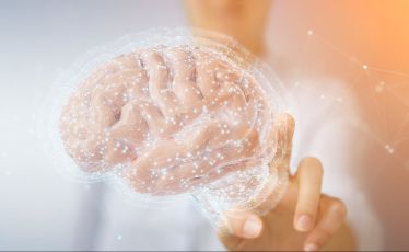 neuroplasticity