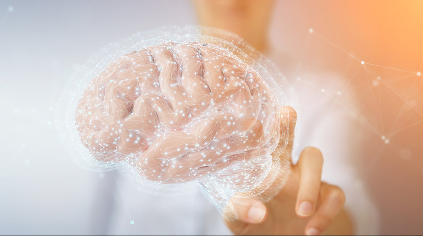 neuroplasticity